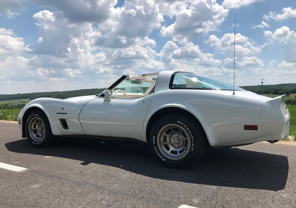 Chevrolet Corvette cena 133333 przebieg: 58000, rok produkcji 1982 z Dolsk małe 56